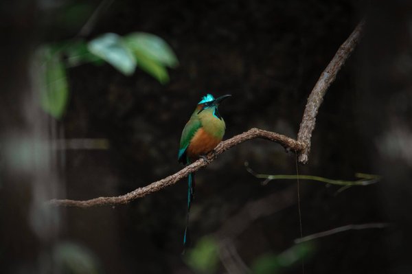 les nouvelles idées d'aménagement pour une salle de bain moderne et fonctionnelle